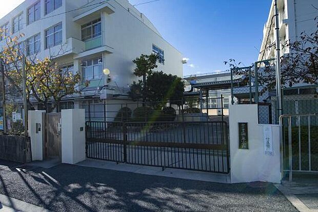 神戸市立渦が森小学校（約1m）