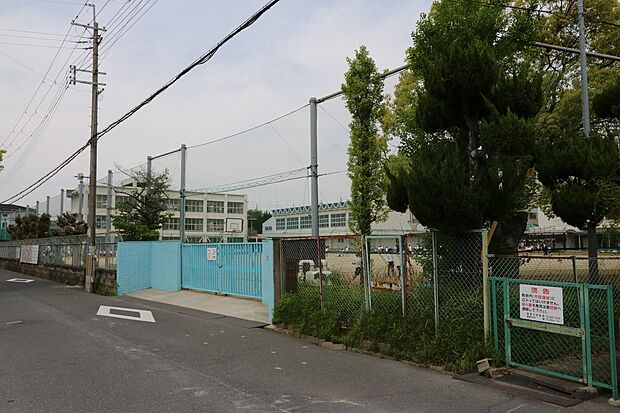 寝屋川市立東小学校（約230m）