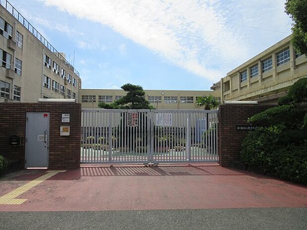 縄手小学校
