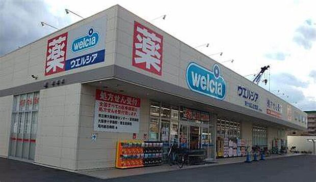 ウエルシア東大阪東山店（約900m）