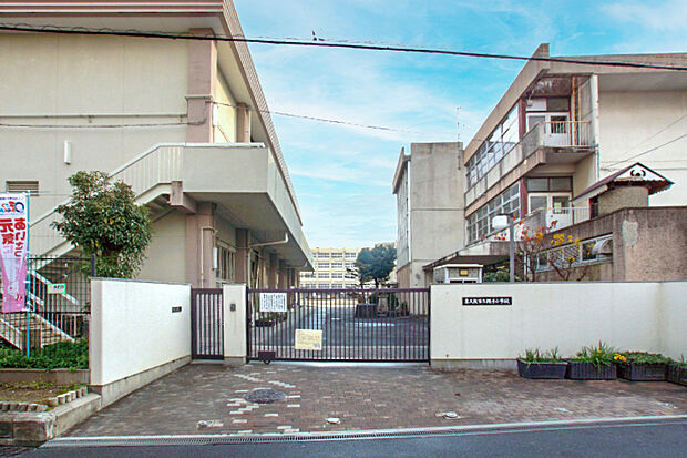 東大阪市立縄手小学校(約780m)