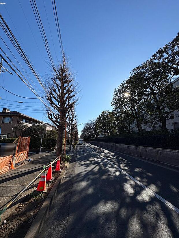 【前面道路含む現地写真】
自然豊かな「緑町ふれあい広場」まで徒歩5分(約400m)。毎日のお散歩やジョギングコースとしても、気軽に立ち寄ることができそうです。