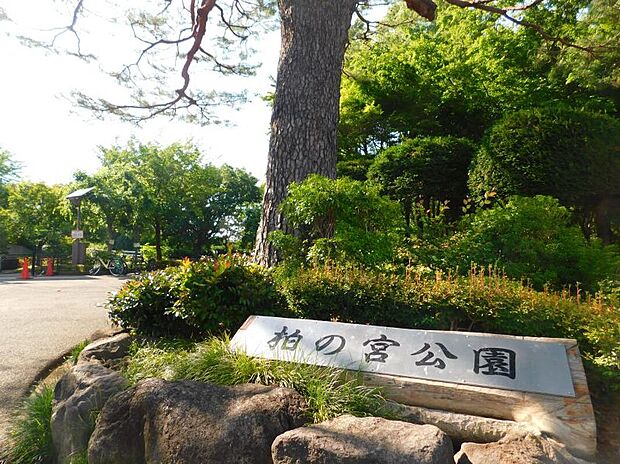 柏の宮公園