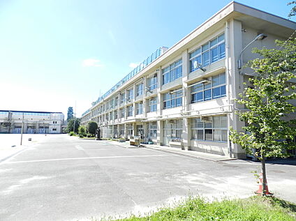 練馬区立中村中学校 約220m(徒歩3分)