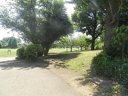 練馬区立立野公園 約400m( 徒歩5分)