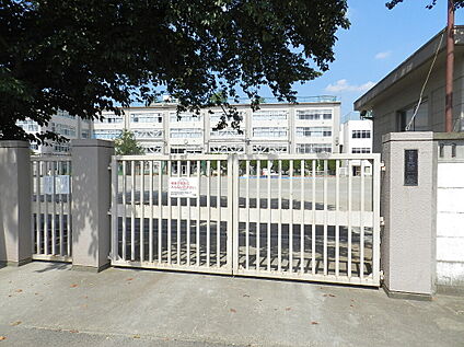 杉並区立西宮中学校 約250m(徒歩4分)
