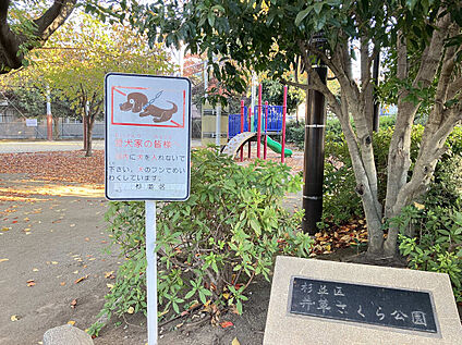 井草さくら公園 約270m(徒歩4分)