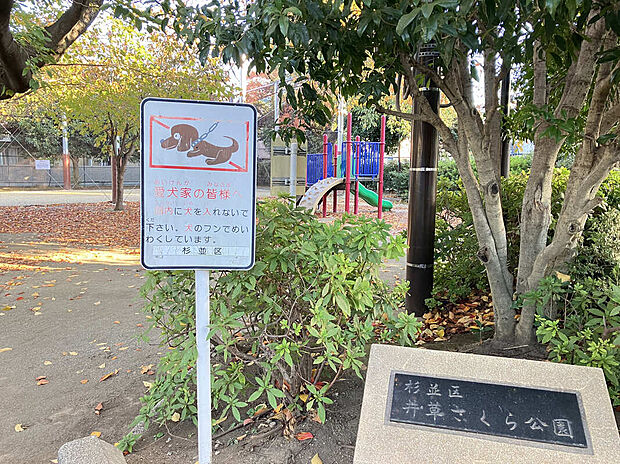 井草さくら公園