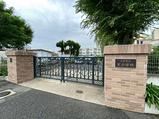 川口市立芝小学校（約300m・徒歩4分）