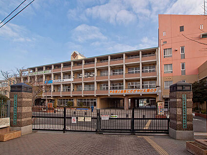 大谷場中学校 800m(徒歩10分)