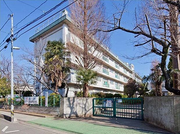 栄和小学校(約950m)