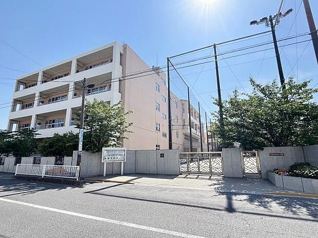 川口市立青木中央小学校(約900m)