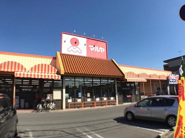 マルヤ赤井店（約1,300m）