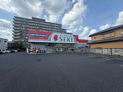 ドラッグストアセキ大成町店 800m(徒歩10分)