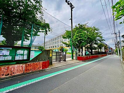 墨田区立寺島中学校 540m(-)