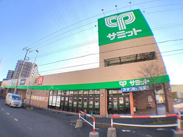 サミットストア鳩ヶ谷駅前店(約550m)