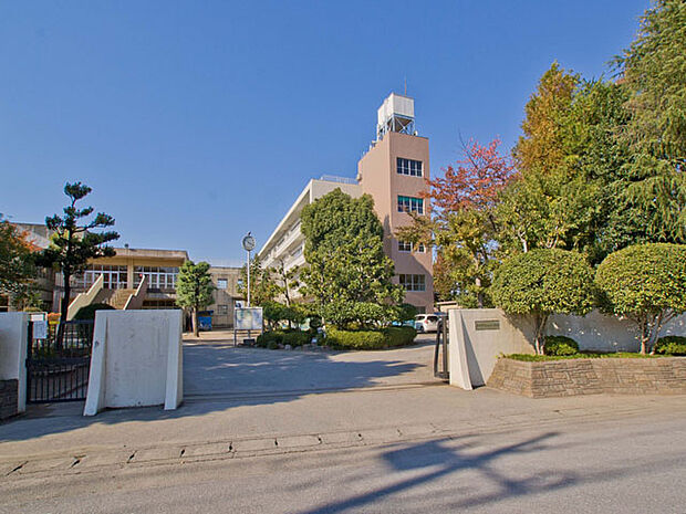 春日部市立上沖小学校(約850m)