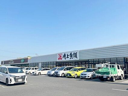 角上魚類越谷店 1030m(-)