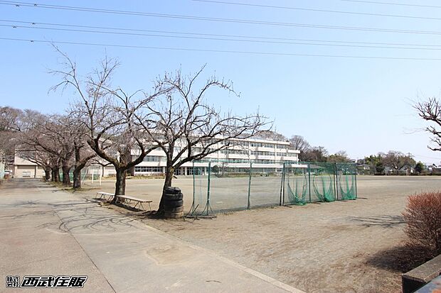 あきる野市立御堂中学校(約764m・徒歩10分)