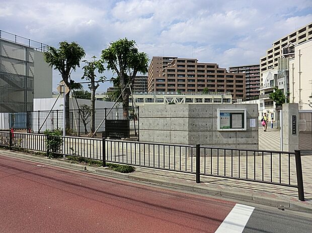 世田谷区立塚戸小学校（約806m）