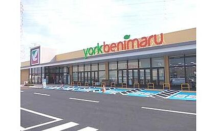 ヨークベニマル小山雨ケ谷店 約1000m～1600m(徒歩13分～20分)
