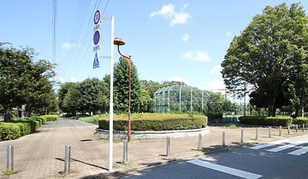 烏ヶ森公園（約1m）