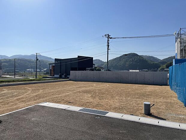 現地写真1号地北東側より（2023年11月撮影）