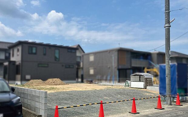 2026年7月撮影