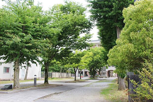 長浜市立長浜小学校(約1,260m・徒歩16分)