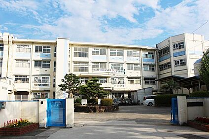 富田林市立金剛中学校 約980m(徒歩13分)