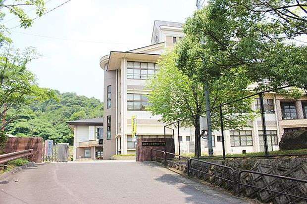 湖南市立菩提寺北小学校(約920m)