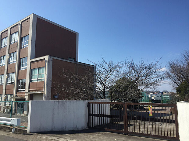 牧の池中学校（約70m）