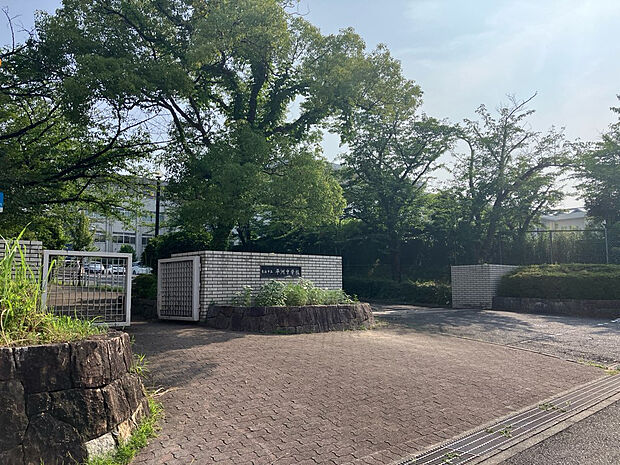 平洲中学校（約1,000m）