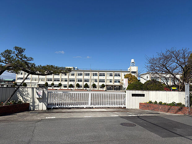 篠田小学校（約4m）