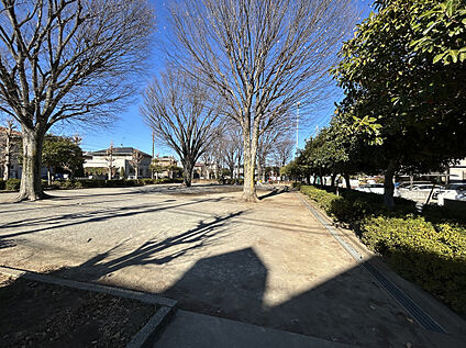 近所の花之台公園