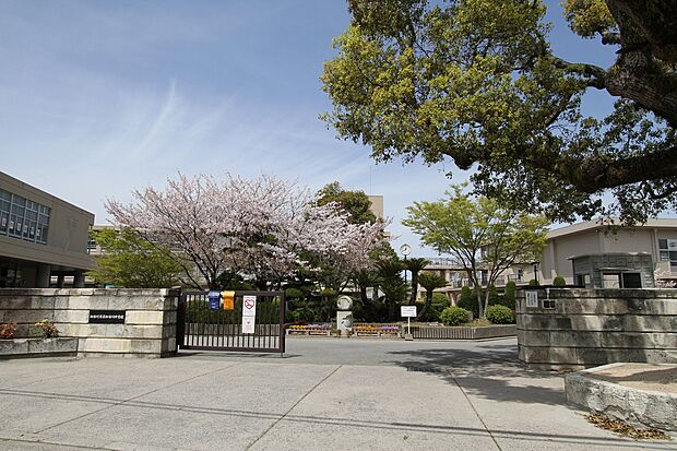 加古川市立加古川中学校