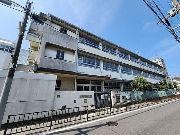 堺市立浜寺小学校まで512m