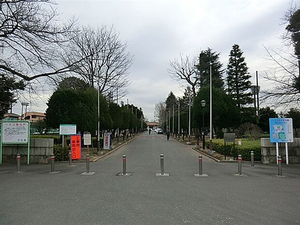 川口市青木町公園まで269m