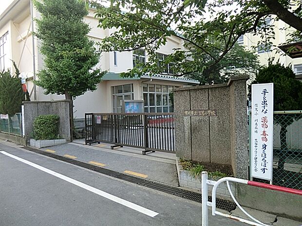 市川市立信篤小学校まで1385m