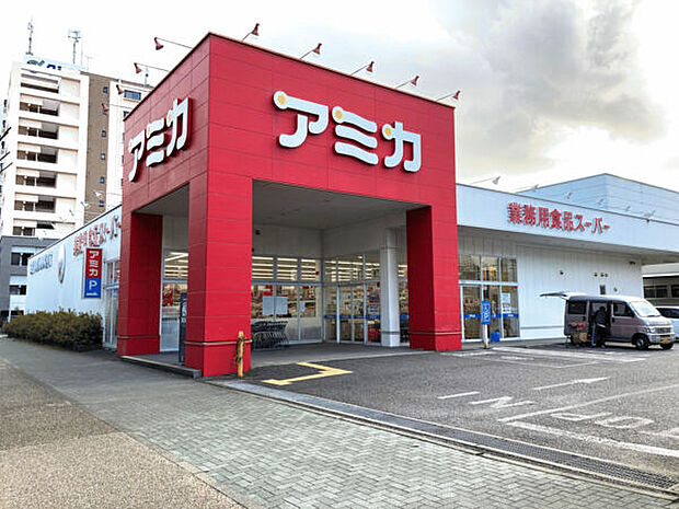 アミカ堀田通店まで788m
