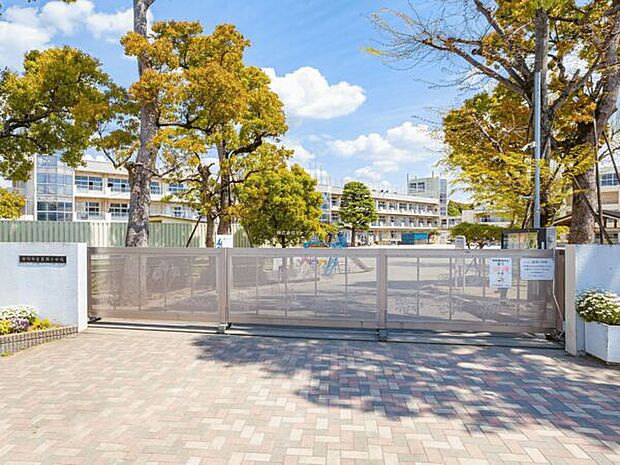 市川市立真間小学校まで1028m