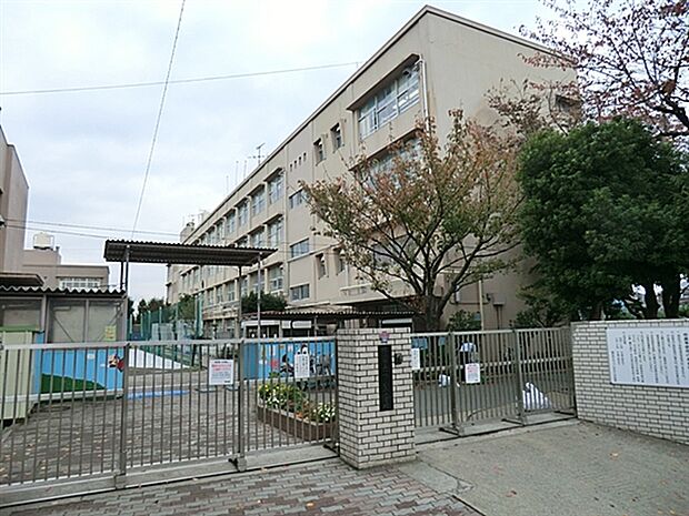 横浜市立つつじが丘小学校まで240m