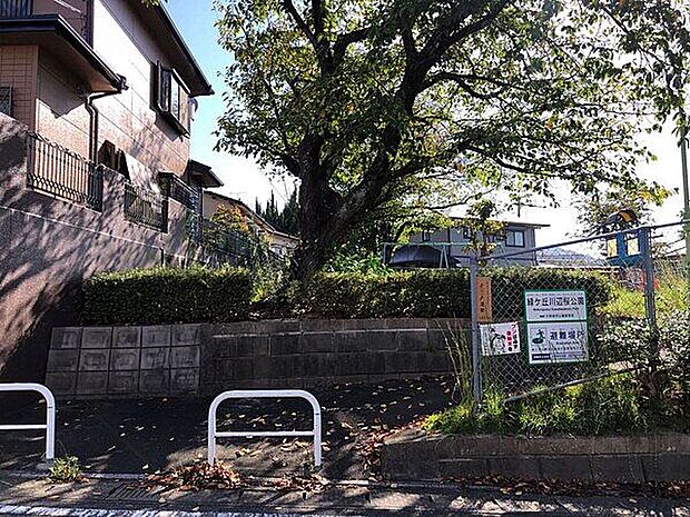 緑ケ丘川辺桜公園まで263m