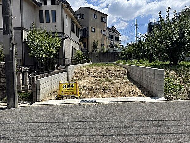 現地(土地)
