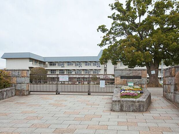 相模原市立新磯小学校まで990m