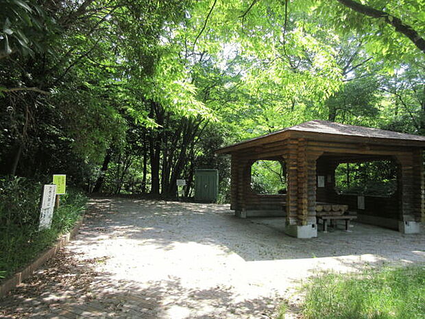 猪高緑地(約237m)