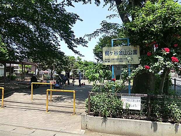 梶ヶ谷金山公園(約477m)
