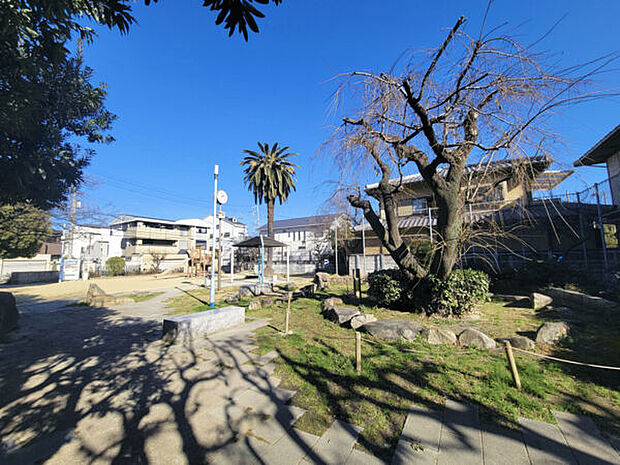 東田辺さくら公園(約348m)