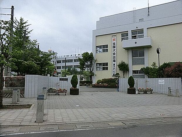 川口市立榛松中学校（約917m）