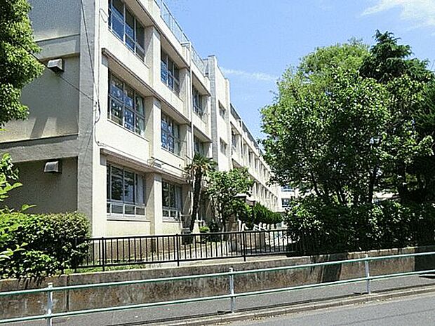 葛飾区立北野小学校（約88m）